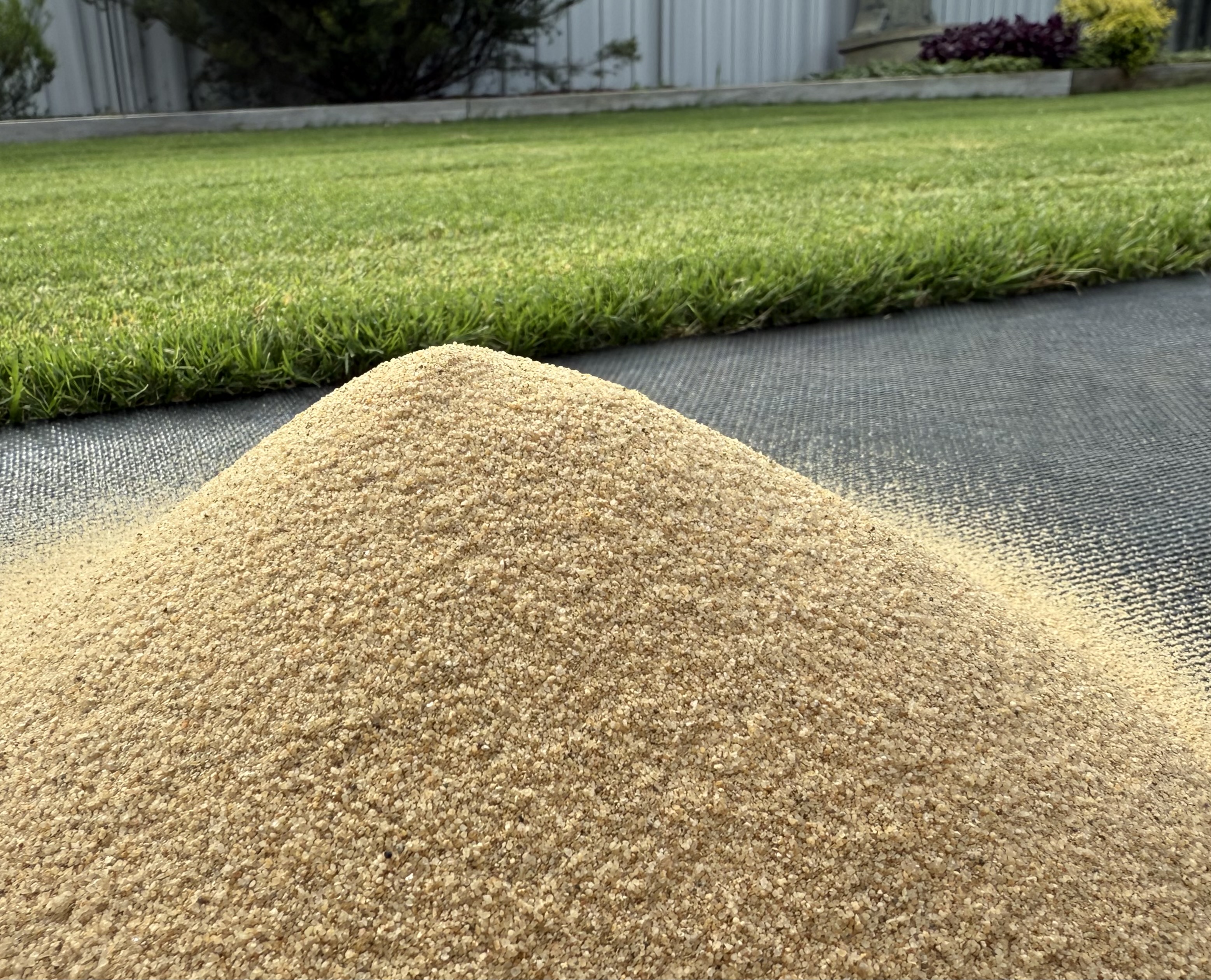 .5 Dried Sand — photo 1